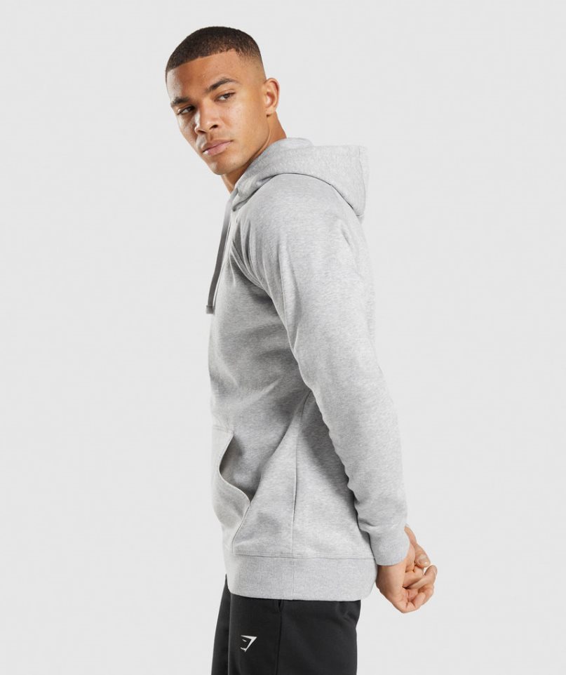 Men's Gymshark Crest Hoodie Light Grey | NZ 4AHWXC